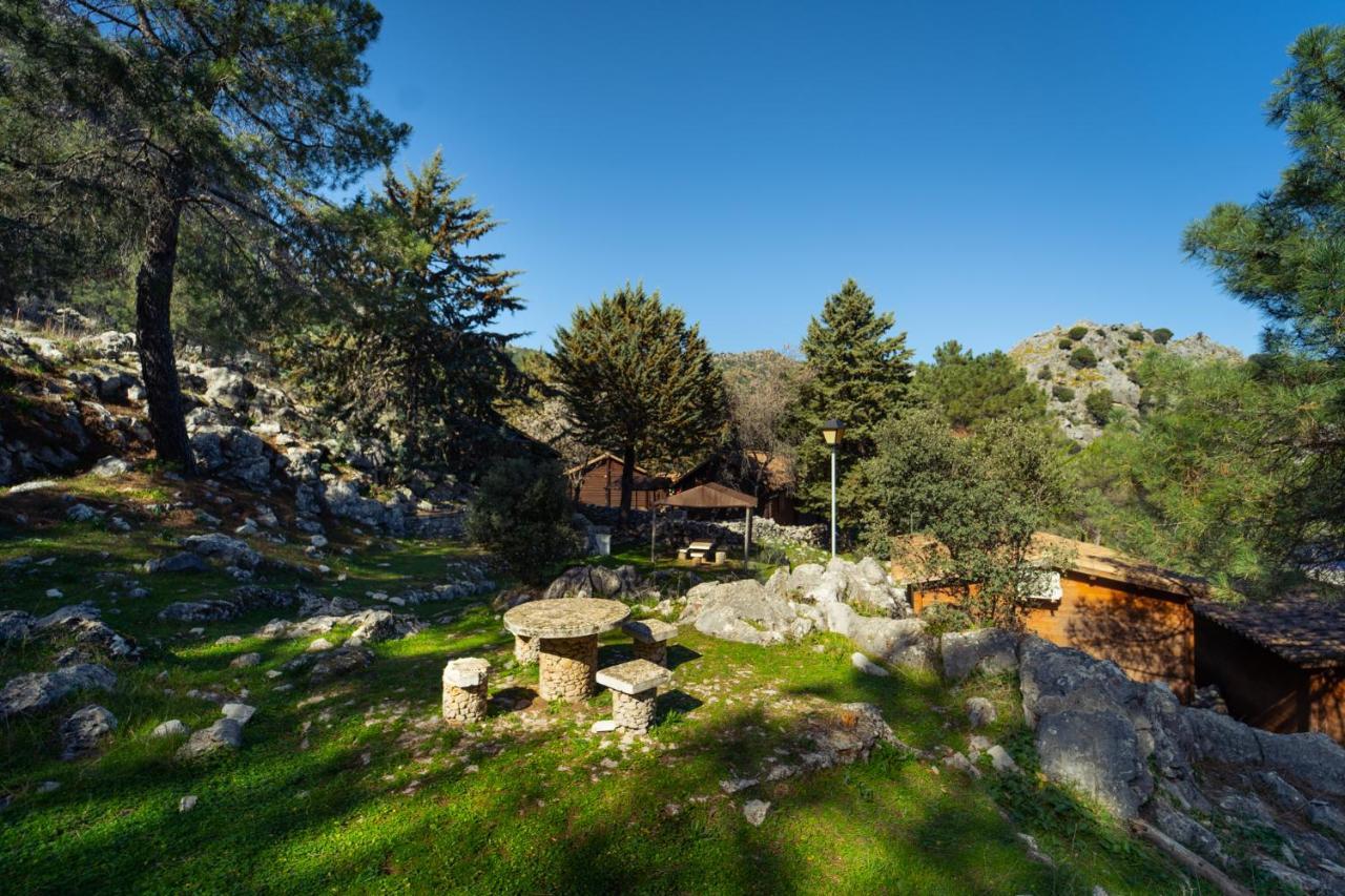 Kampaoh Luxury tent Grazalema