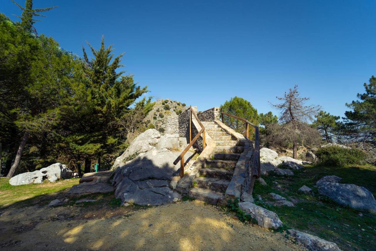 Luxury tent Kampaoh Grazalema